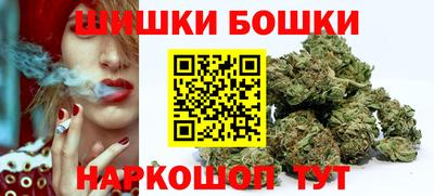 тгк Камышлов
